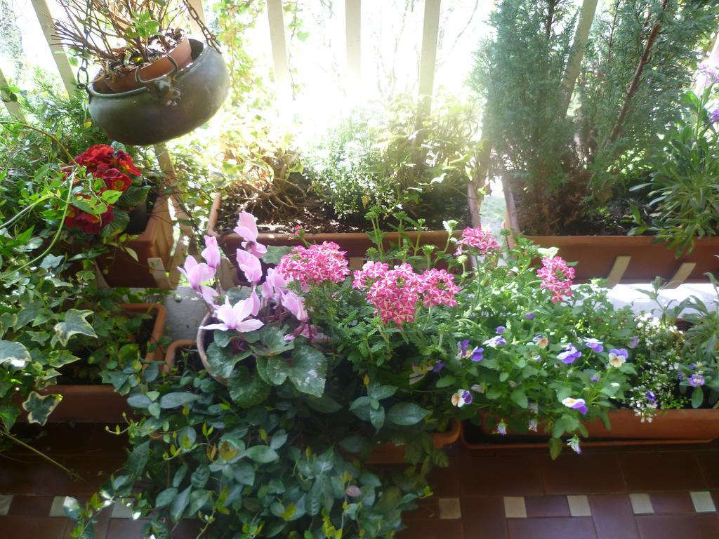 La Terrazza Sul Po